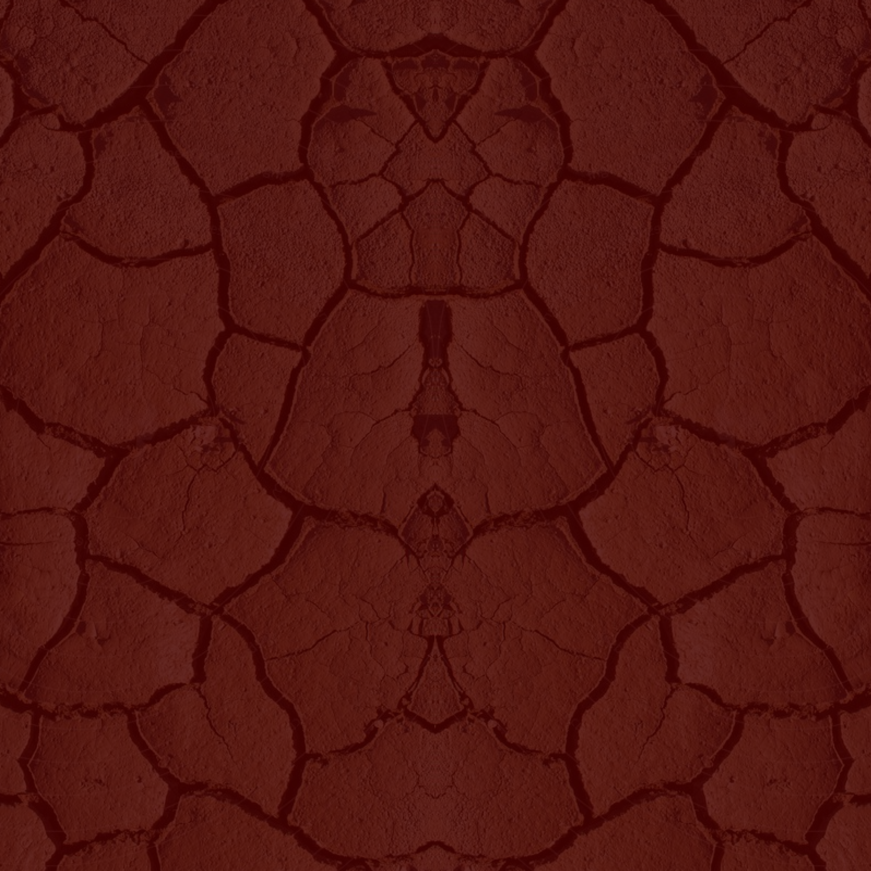 ROOT CHAKRA
