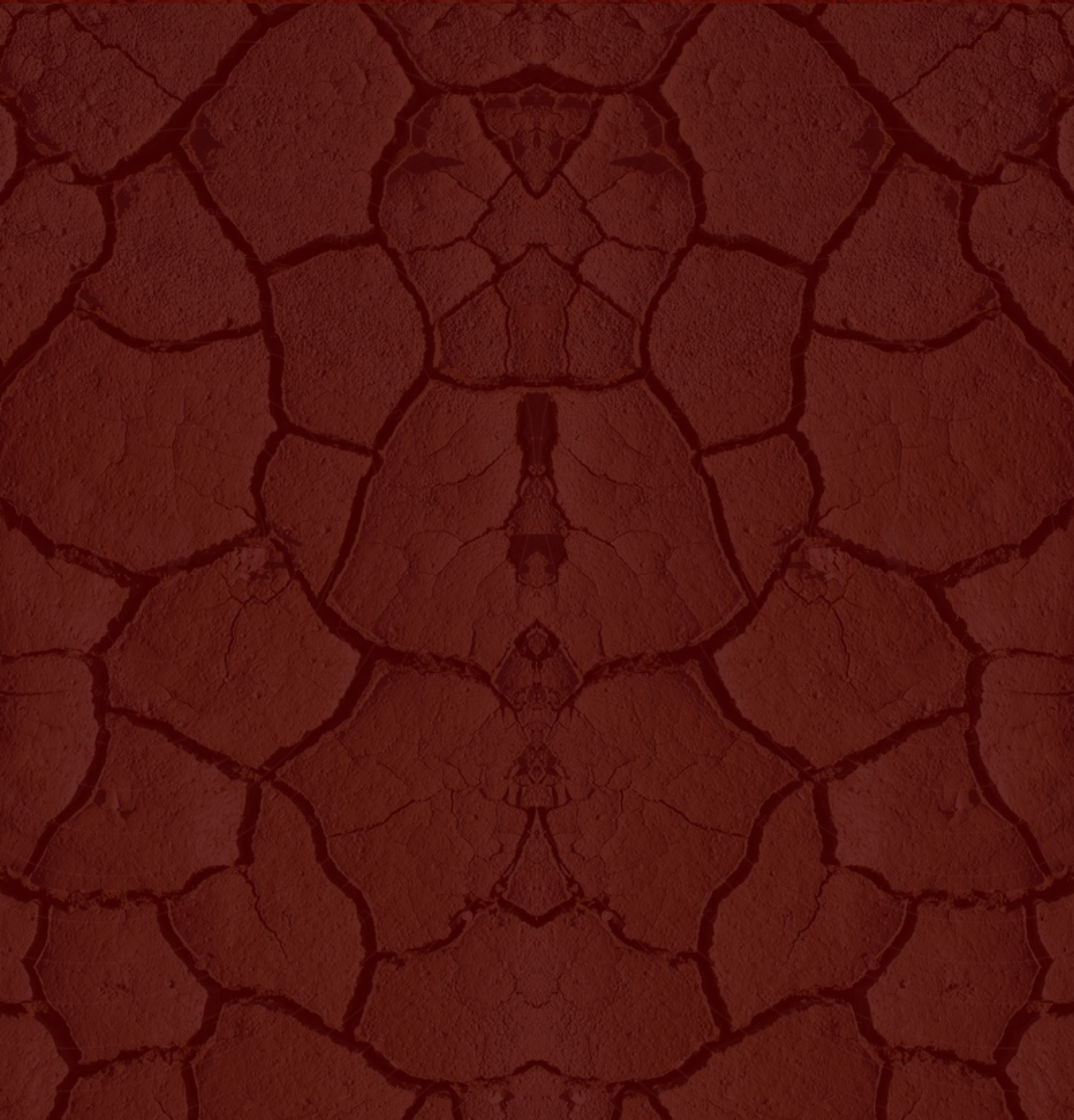 ROOT CHAKRA